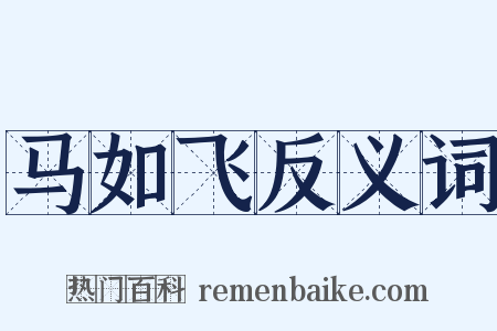 马如飞反义词是什么意思的图片